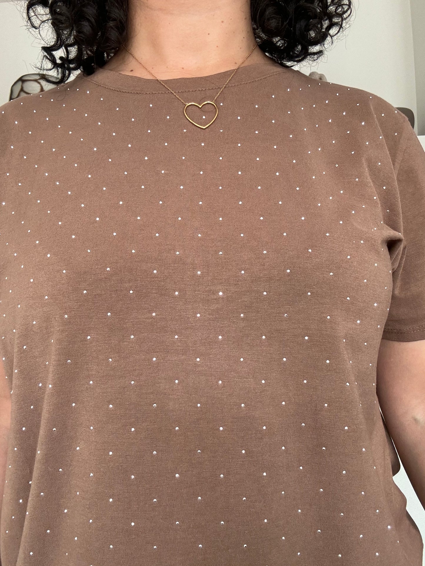 Noé t-shirt bruin