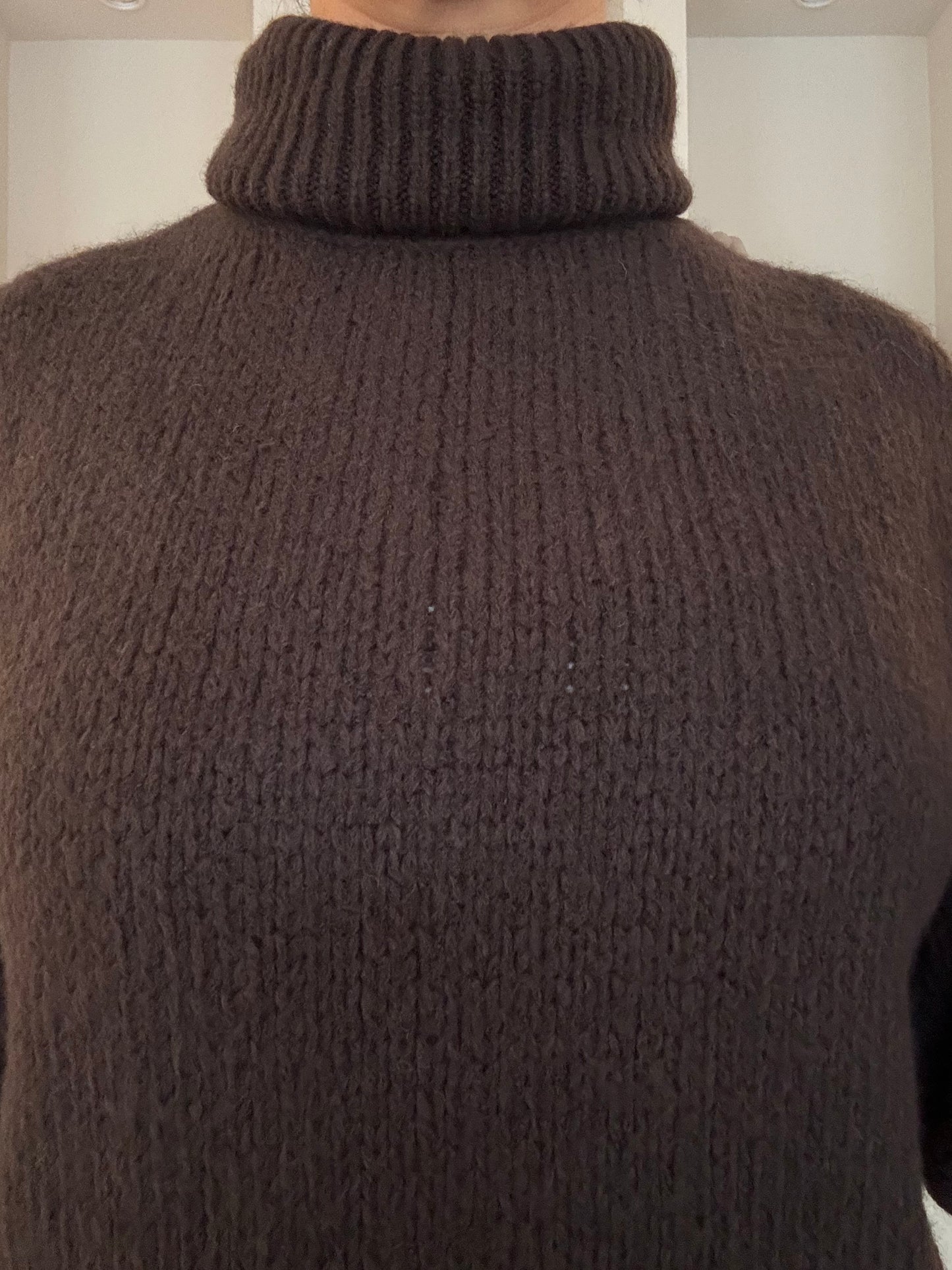 Estee Turtleneck - bruin